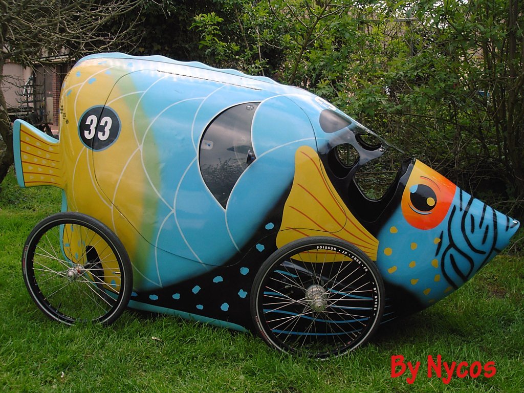 Poisson 034.jpg